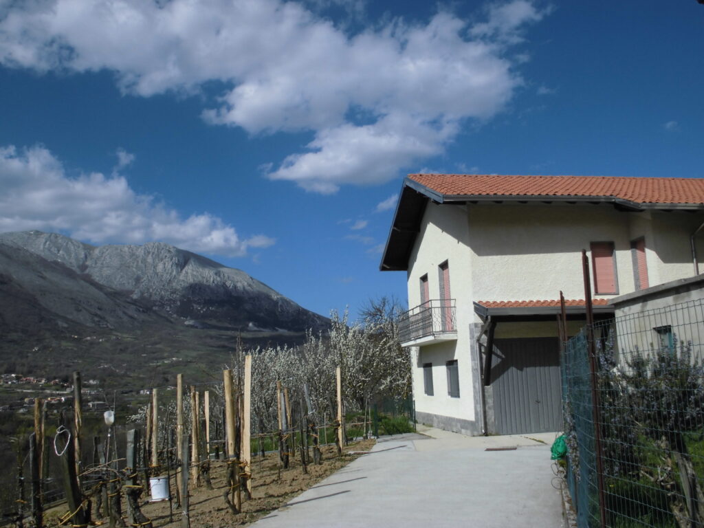 Villa with land (c.da Cerri)