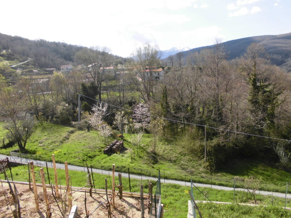 Villa with land (c.da Cerri)