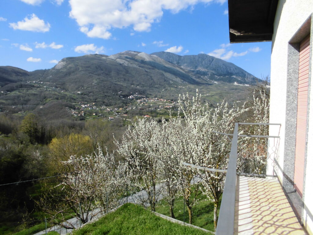 Villa with land (c.da Cerri)