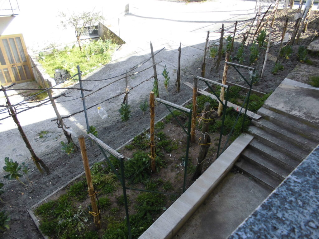 Villa with land (c.da Cerri)