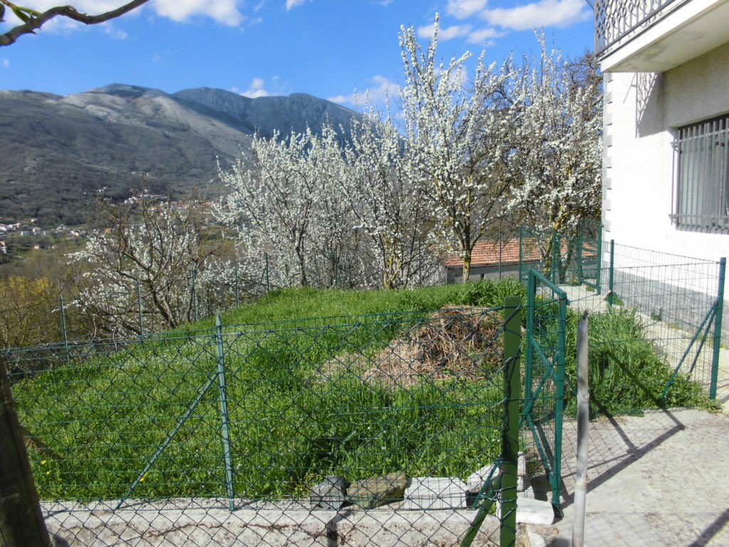 Villa with land (c.da Cerri)