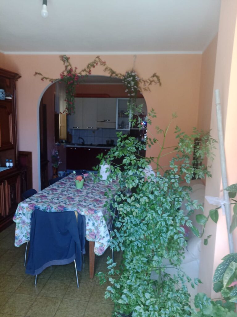 Detached house with land (via Procoio, 151)