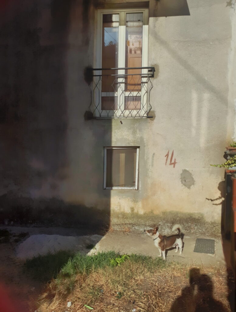 Casa indipendente in una frazione rurale (c.da Preti, 22)