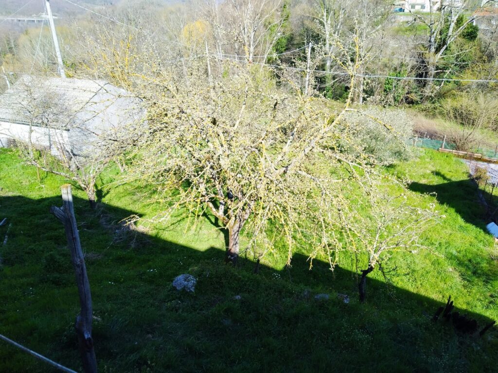 Detached house in a rural area (c.da Cerri, 41)