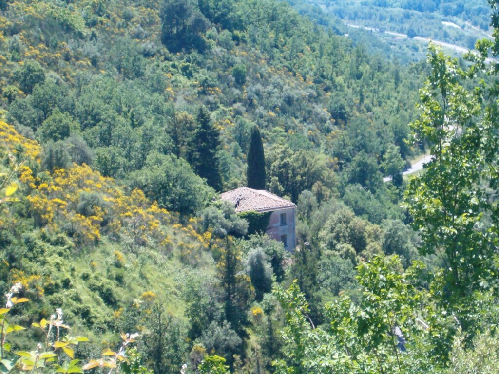 panorama proprietà1