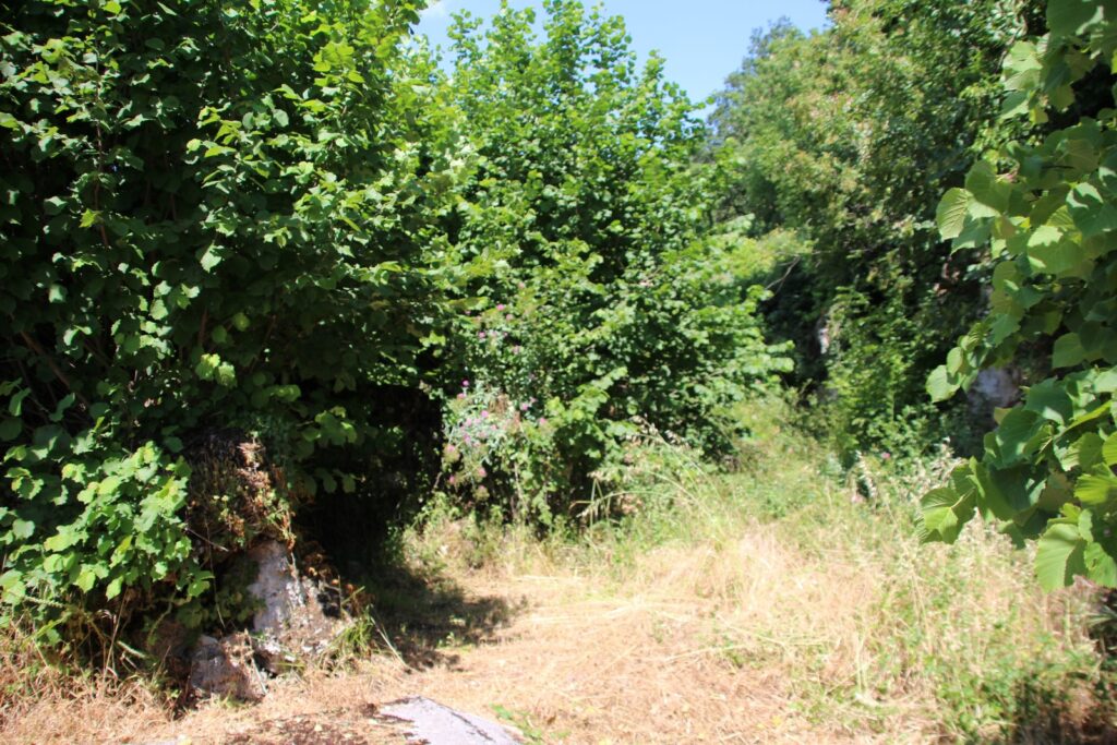 Casa indipendente con garage e ampia area esterna (via Monte Pollino, 22)