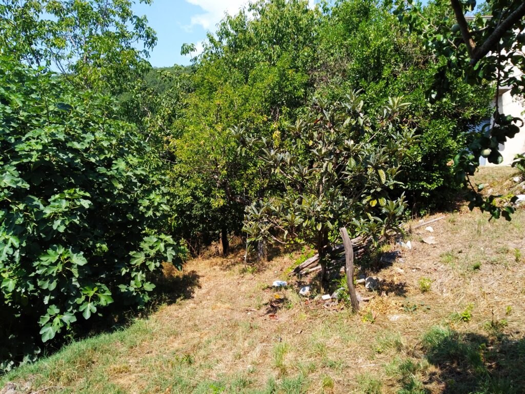 Casa indipendente con terreno in una frazione rurale (c.da Serrone, 76)