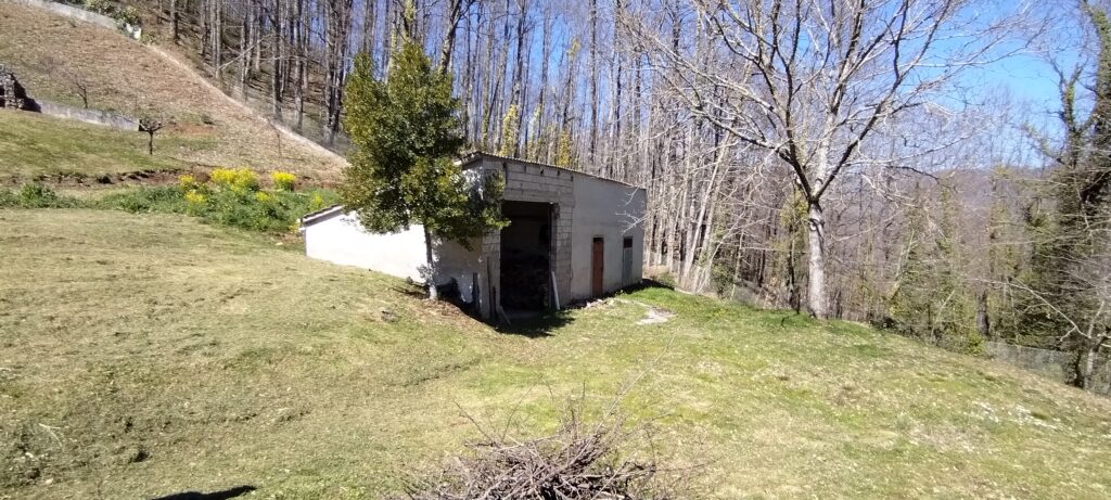 Villa with land in Mingarelli hamlet (via Mingarelli, 1)