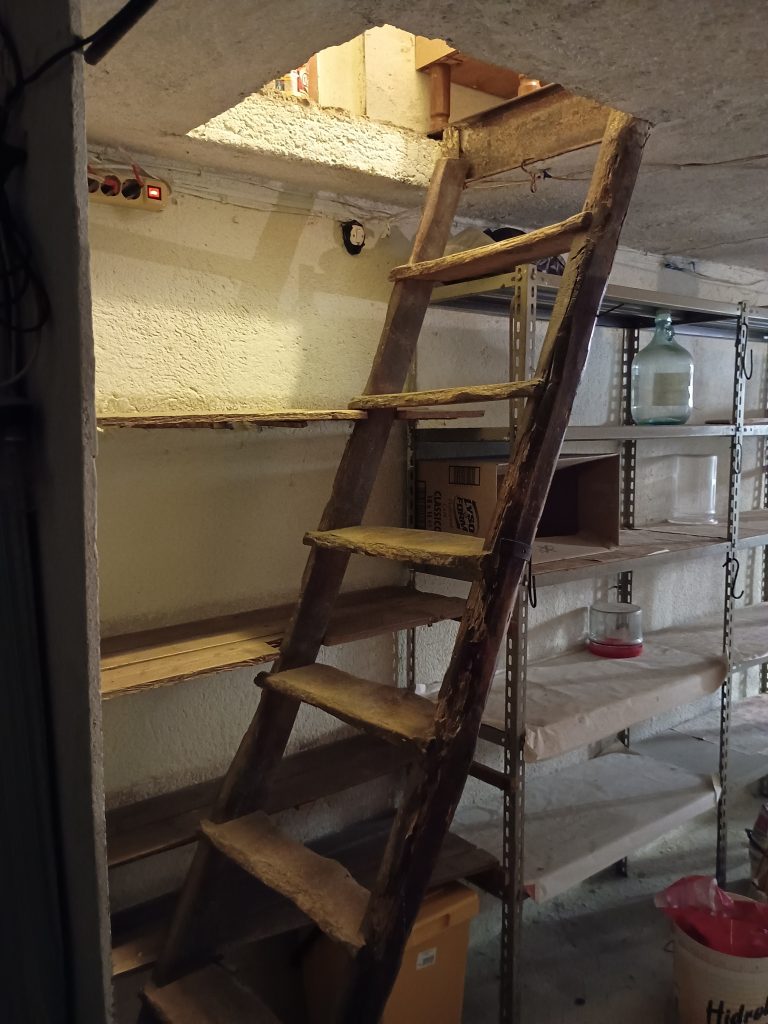 Casa indipendente con garage nel centro urbano (via Plauto, 10)