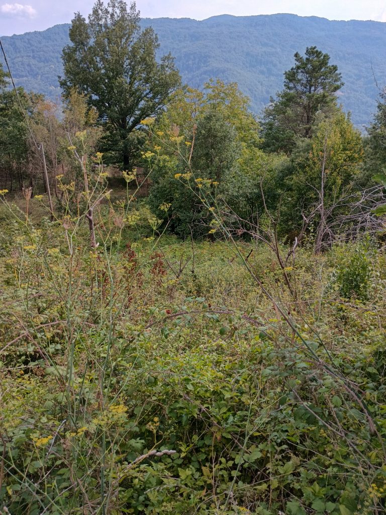 Casa indipendente con terreno e garage (c.da Mirricchio, 3-4)