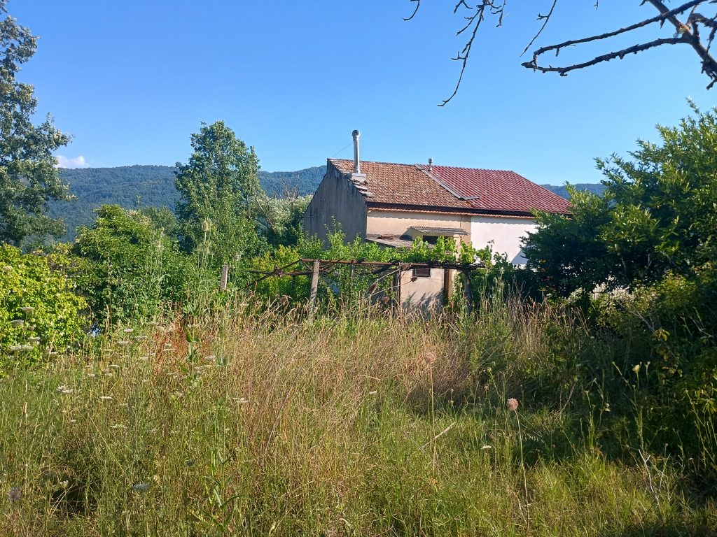 Detached house with land in the thermal area (via Santa Croce, 6)