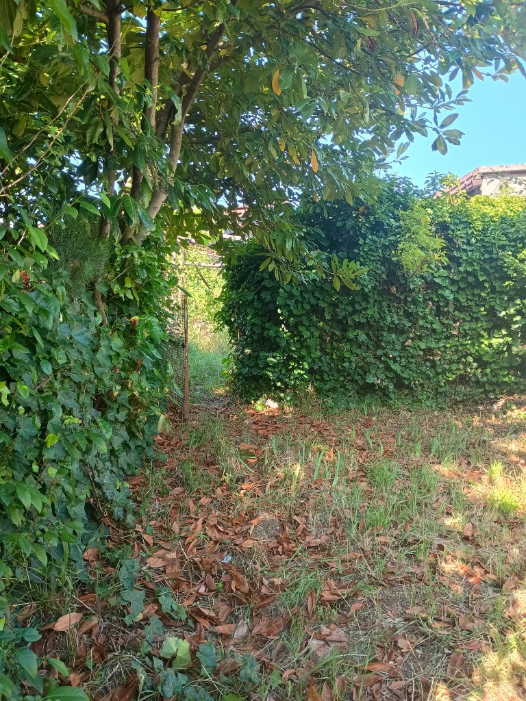 Detached house with land in the thermal area (via Santa Croce, 6)