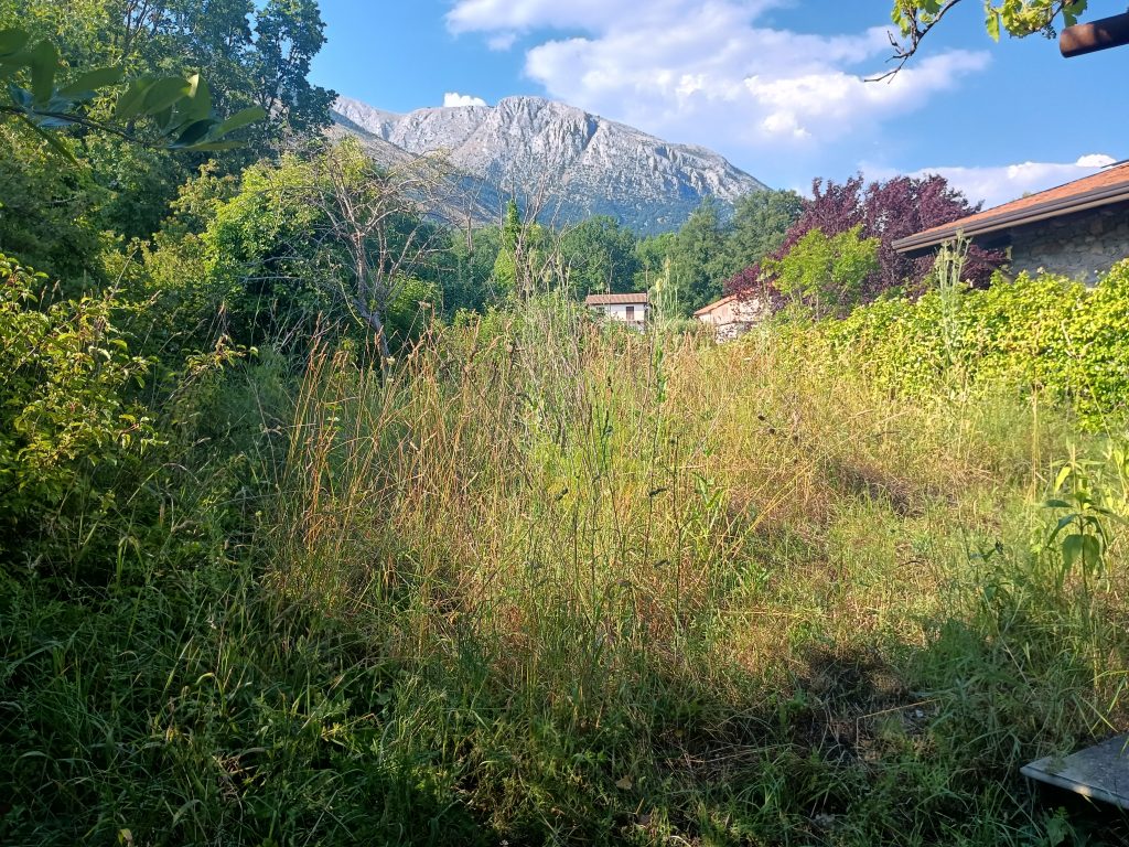 Detached house with land in the thermal area (via Santa Croce, 6)