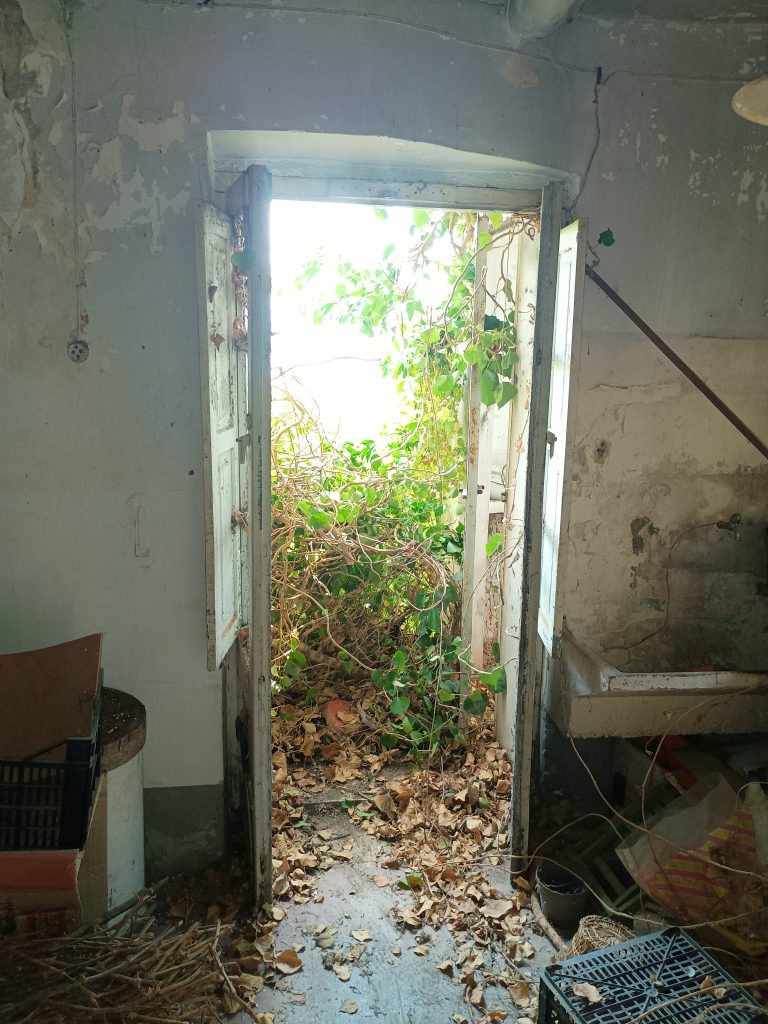 Detached house in the historic center (via Bixio, 13)