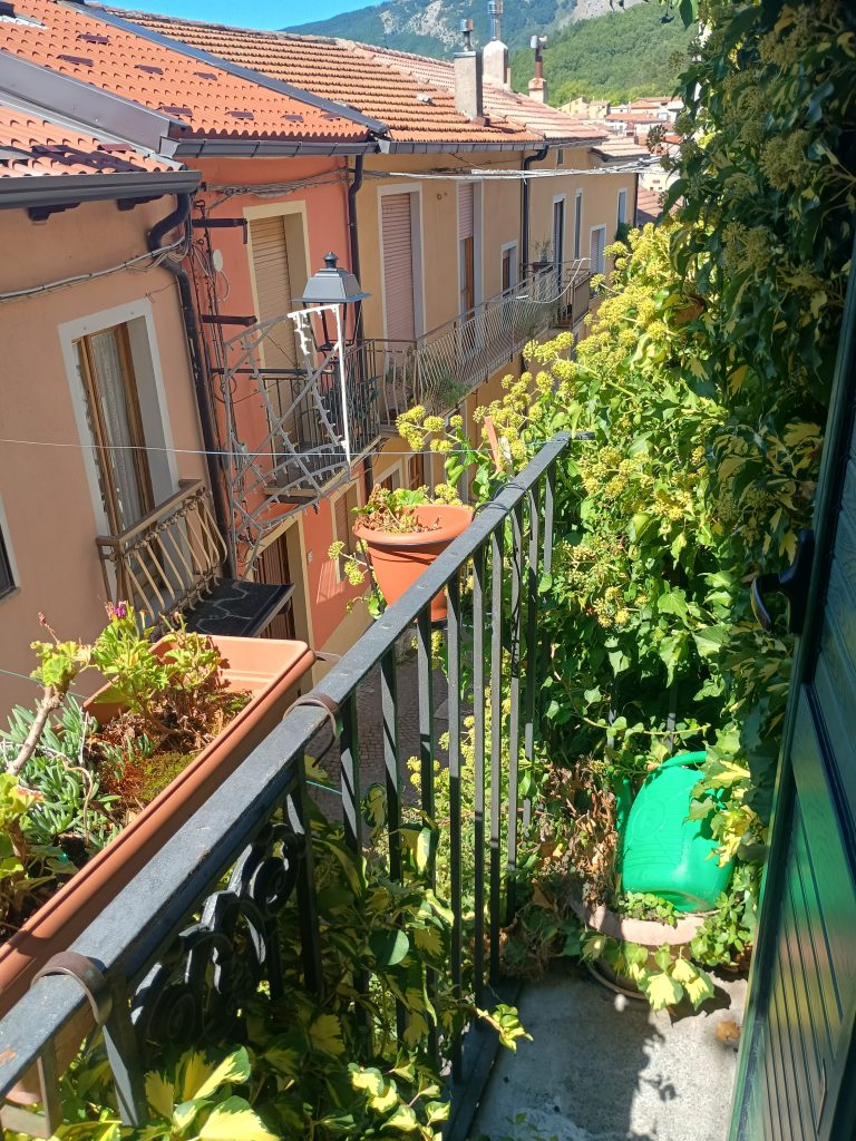 Casa indipendente nel centro storico (via Dante, 61)