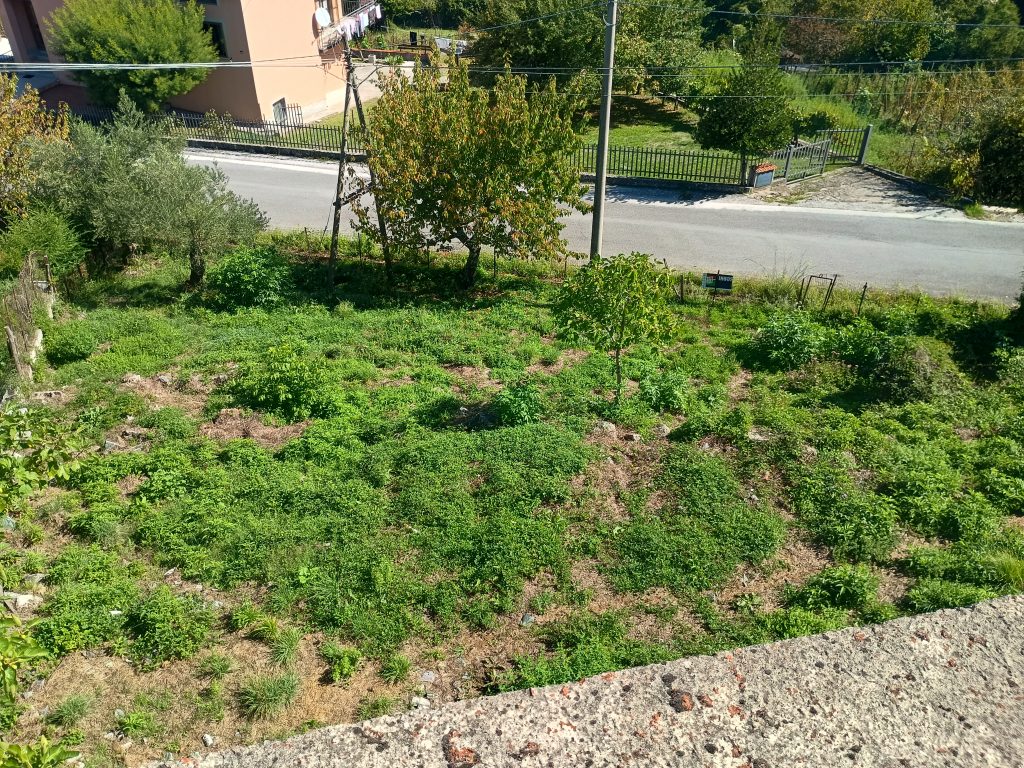 Villa with land and panoramic view (c.da Cerri, 29)