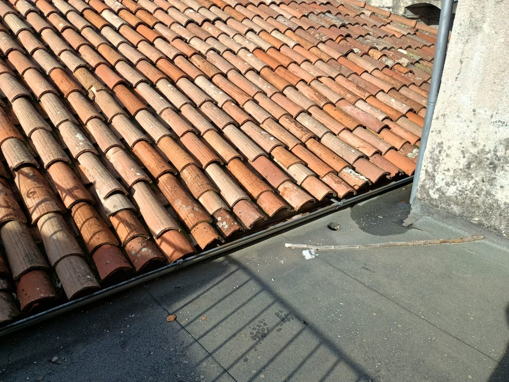 Casa indipendente nel centro storico (via Giannone, 6)