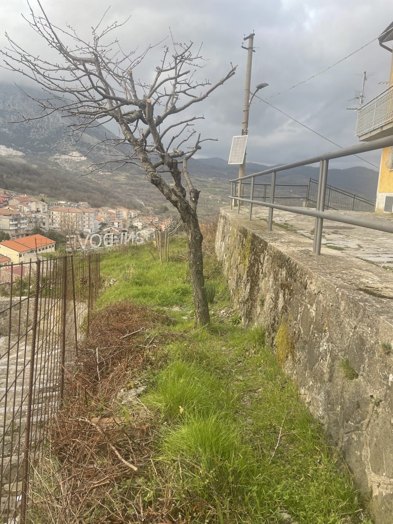 Casa indipendente con giardino nel centro storico (via Bembo 10-12)