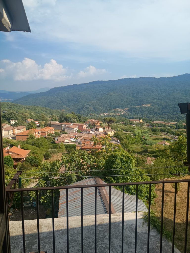 Detached house in the thermal area (via Cremonesi, 76)