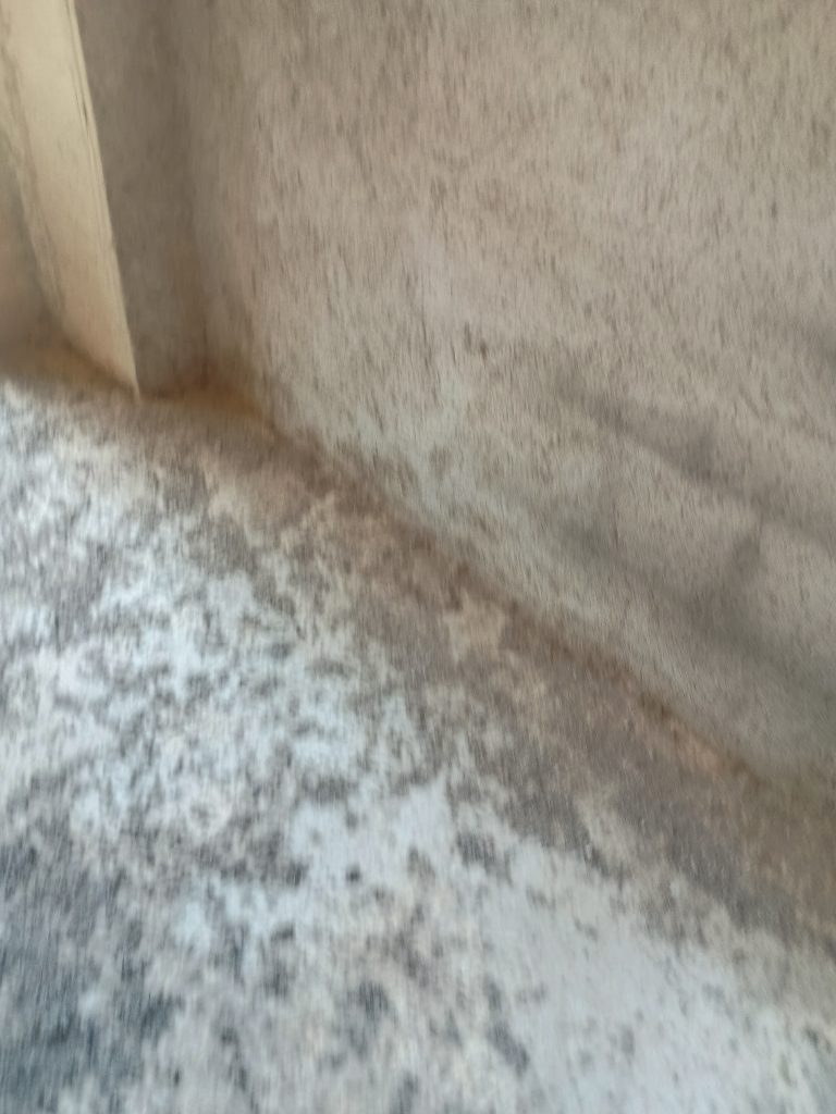 Casa indipendente con garage nel centro urbano (via Scasci, 24)