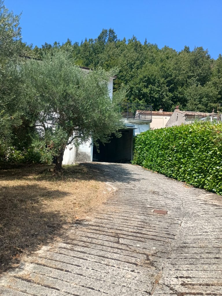 Detached house with terrace, land and garage (via Angelo Diego, 56 A/B)
